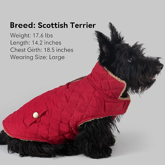 azuza Dog Jacket for Medium Dogs Waterproof & Windproof Dog Coat for Small Dogs with Thick Fleece, High Collar with Leash Hole, Adjustable Velcro & Elastic Belly, Red 2XL