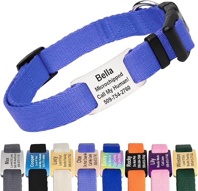 GoTags Personalized Dog Collar with Nameplate, Adjustable Dog Collar with Custom Engraved Slide On Pet ID Tag in Stainless Steel, Silent, No Noise Dog Tag (Lavender, Large)