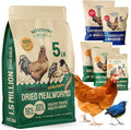 Chicken Feed Dried Mealworms - 5 Lb, Non-GMO & Organic - High-Protein Mealworms for Wild Birds & Ducks, Chicken Treats & Bird Food
