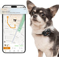 Pawfit Lite for Small Dogs 4g GPS Tracker | Real Time Tracking | Activity Monitoring |Location History | Unlimited Range | Onyx Black