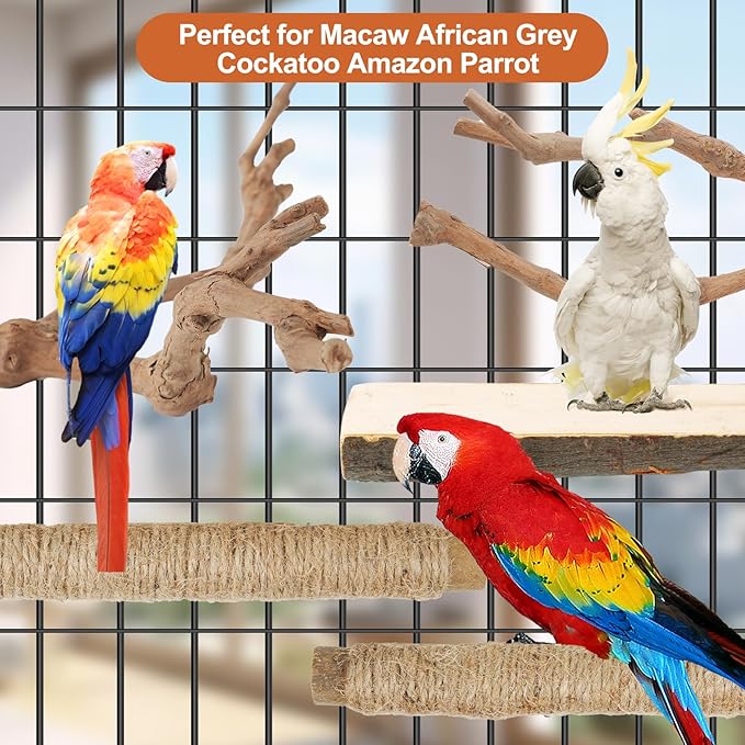 Bird Perch Stand, Pole Standing Natural Wood Bird Perch Set 5PCS Paw Grinding Fork Parrot Cage Branch with Rope for Macaw African Grey Amazon Pet Medium Birds Cage Accessories