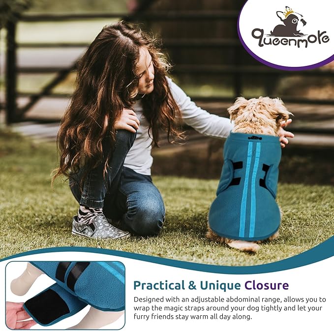 Queenmore Dog Sweaters - Soft Fleece Pullover Jacket, Warm Winter Dog Clothes, Dachshund & Cat Size, Boy or Girl (Peacock-Blue, S)