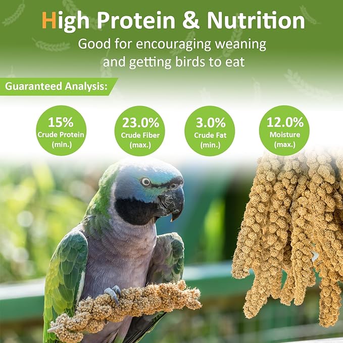 Spray Millet for Birds 5LB - All Natural Sun-Dried Healthy Treat, Millet Spray for Parakeets, Parrots, Lovebirds, Cockatiels Food, 100% Non-GMO High Protein Fresh Bird Seed