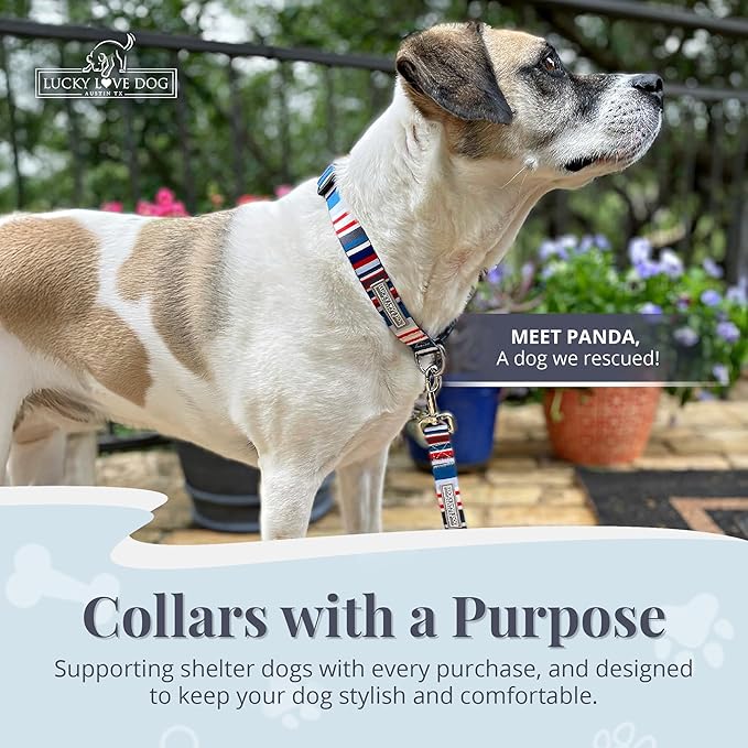 Lucky Love Dog - Adjustable Dog Collar with Easy Click Buckle for Small to Large Dogs, Durable, & Comfortable for Male & Female Dogs, Pet Collar for Puppies & Adult Ones - Linus, XS