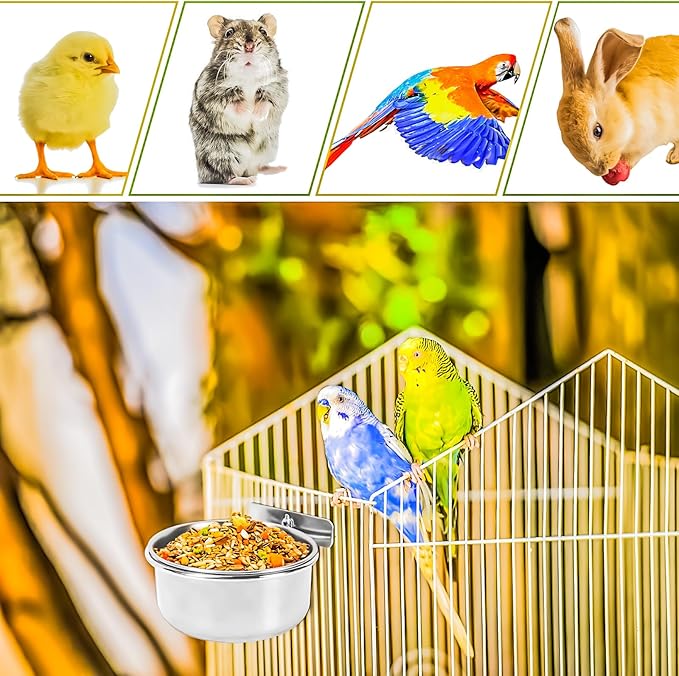 MotBach 2 Pack Bird Feeding Bowls Cups Parrot Food Water Dishes, Stainless Steel Bird Bowl Cup Dish with Clamp, Birdcage Feeder Pet Cage Bowls for Cockatiel Budgie Conure Macaw Parakeet Small Animal