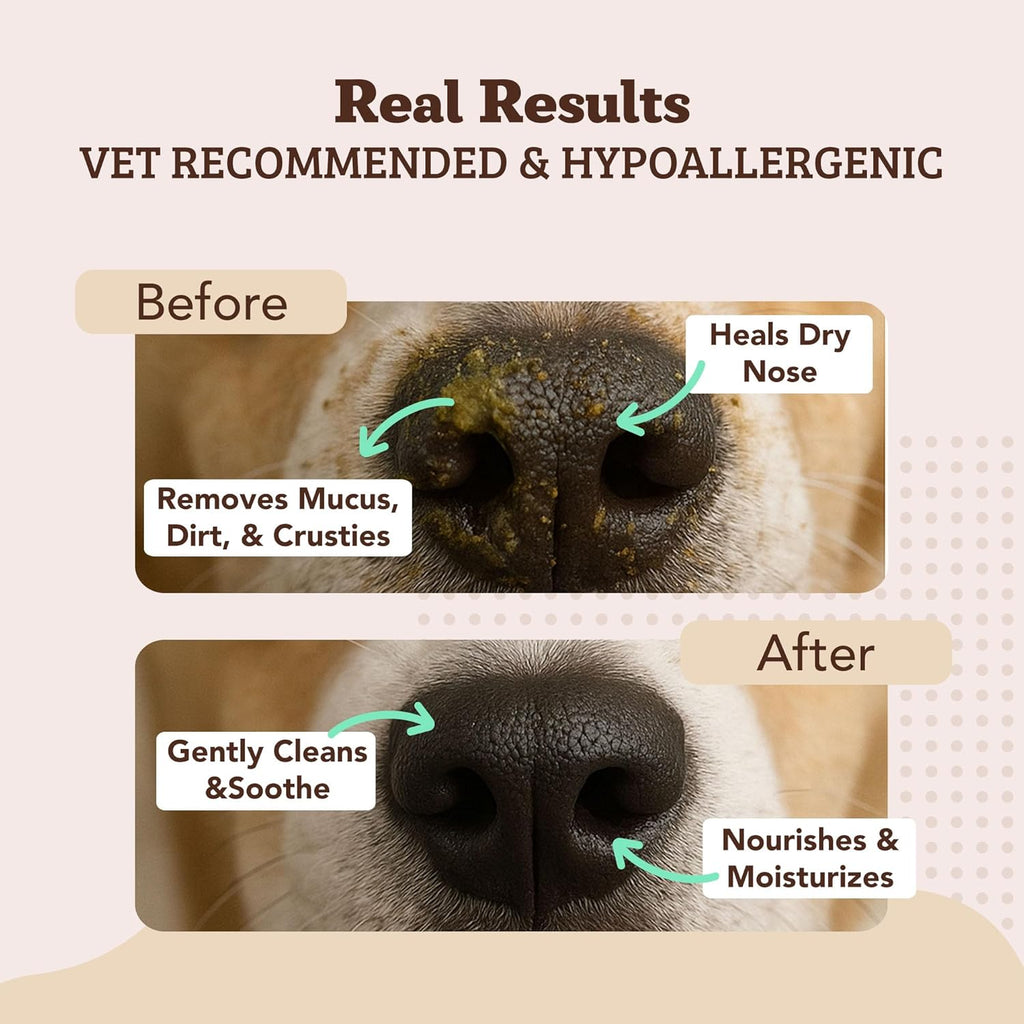 Natural Dog Snout Wipes, 50 Count - Snout Dog Wipes for Cleaning and Soothing, Natural, Non-Toxic Dog Care Products, Kukui Oil Infused, Snout Soother Wipes, Nourishing and Moisturizing Wipes for Dogs