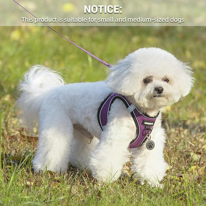 Dog Harness and Leash Set, Dog Harness for Dogs No Pull, No-Chock Step-in Reflective Breathable Lightweight Easy Walk Vest Harnesses with Safety Buckle for Small Medium Dogs, Cats (Purple, M)