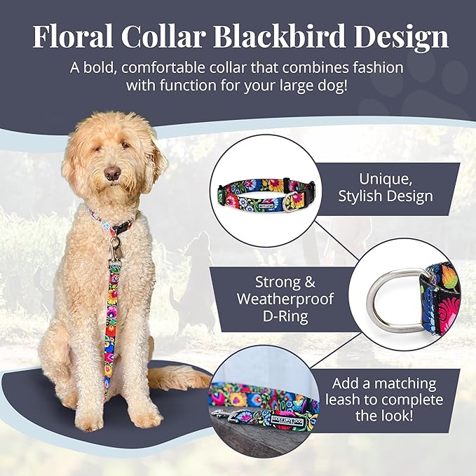 Lucky Love Dog - Adjustable Dog Collar with Easy Click Buckle for Small to Large Ones, Durable, & Comfortable for Male & Female Dogs, Pet Collar for Puppies & Adult Dogs - Blackbird, Large