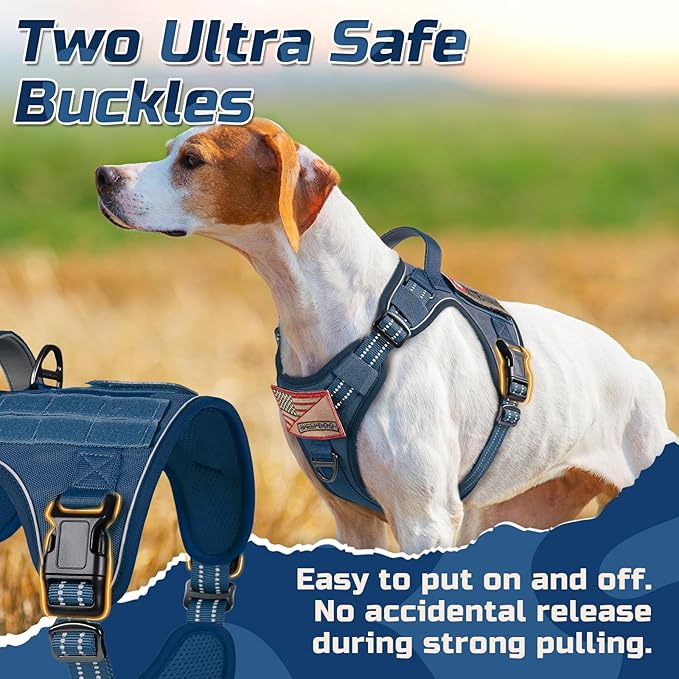 rabbitgoo Tactical Dog Harness for Small Dogs, No Pull Military Service Vest with Handle & Molle, Easy Control for Training Walking, Adjustable Reflective Straps, Blue, S