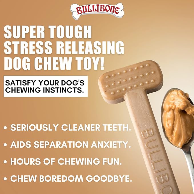 Bullibone Nylon Dog Chew Toy Nylon Bone - Improves Dental Hygiene, Easy to Grip Bottom, and Permeated with Flavor (Peanut Butter, Large - 2 Pack)