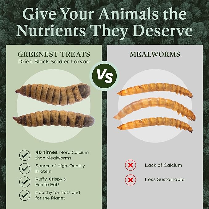 Dried Black Soldier Fly Larvae Chicken Treats for Hens, Duck, Wild Birds, Lizard, Tortoise, Fish - All Natural High Protein Dried Mealworms Alternative - Made in North America