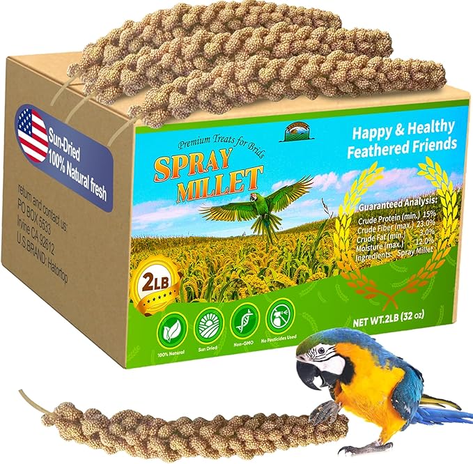 2LB Millet Spray for Birds Parakeets Treats - All Natural Sun-Dried Spray Millet for Parakeets, Cockatiel, Budgie, Finches, Parrots, Hamster, 100% Non GMO Dried Fresh Bird Seed