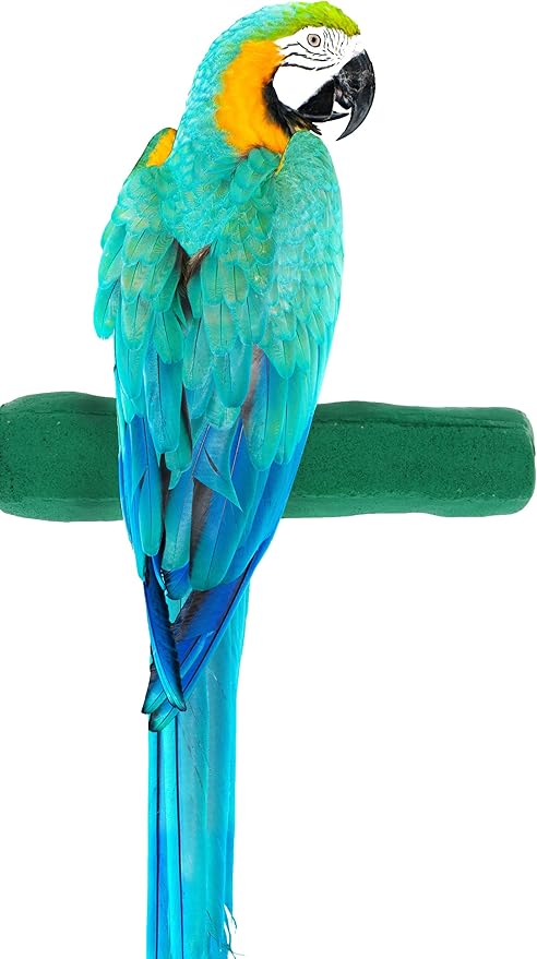 Sweet Feet and Beak Comfort Grip Safety Perch for Bird Cages - Pedicure Perch for Birds to Keep Nails and Beaks in Top Condition - Safe Easy to Install Bird Cage Accessories - XL 13.5"