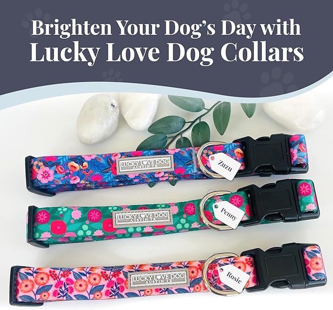 Lucky Love Dog - Adjustable Dog Collar with Easy Click Buckle for Small to Large Ones, Durable, & Comfortable for Male & Female Dogs, Pet Collar for Puppies & Adult Dogs - Rosie, Large