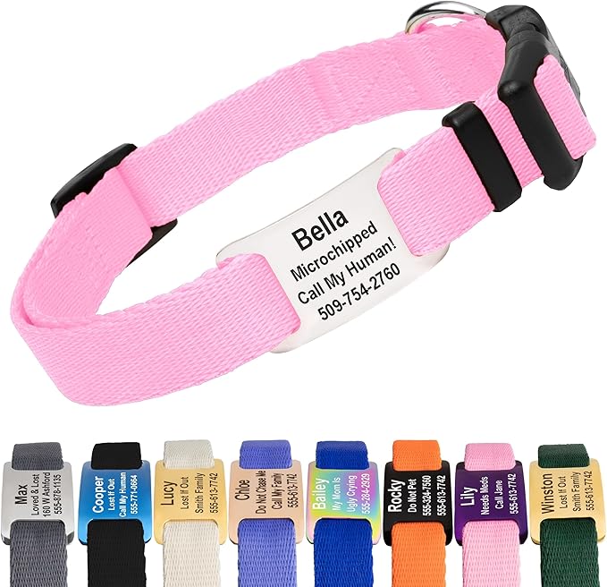 GoTags Personalized Dog Collar with Nameplate, Adjustable Dog Collar with Custom Engraved Slide On Pet ID Tag in Stainless Steel, Silent, No Noise Dog Tag for Large Medium and Small (Pink, X-Small)