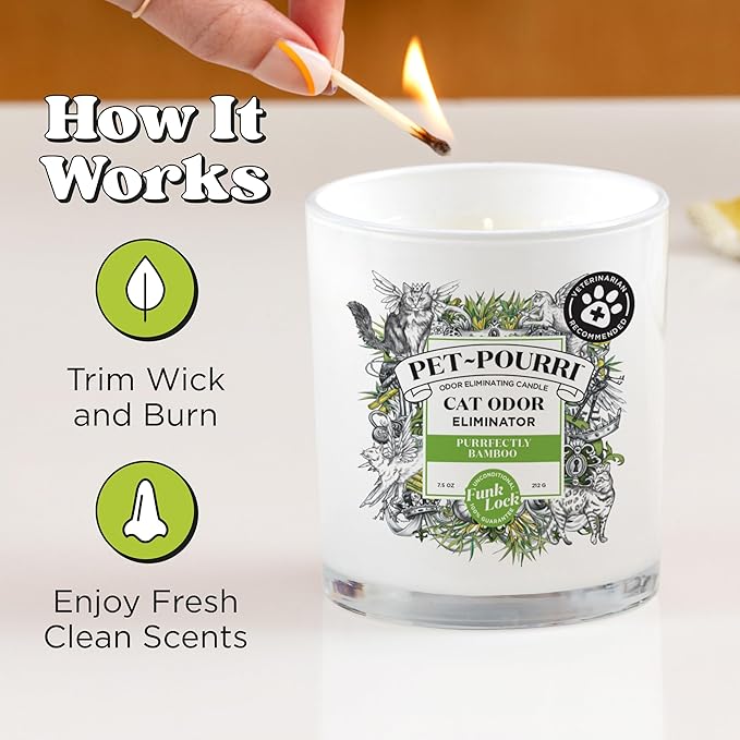 Pet-Pourri Purrfectly Bamboo Cat Deodorizer Candle – Cat Safe Plant Based Ingredients & Wax – Vet Approved – Aromatherapy & Air Freshener for Kitty Odor – Scented with Bamboo, Jasmine & Pear
