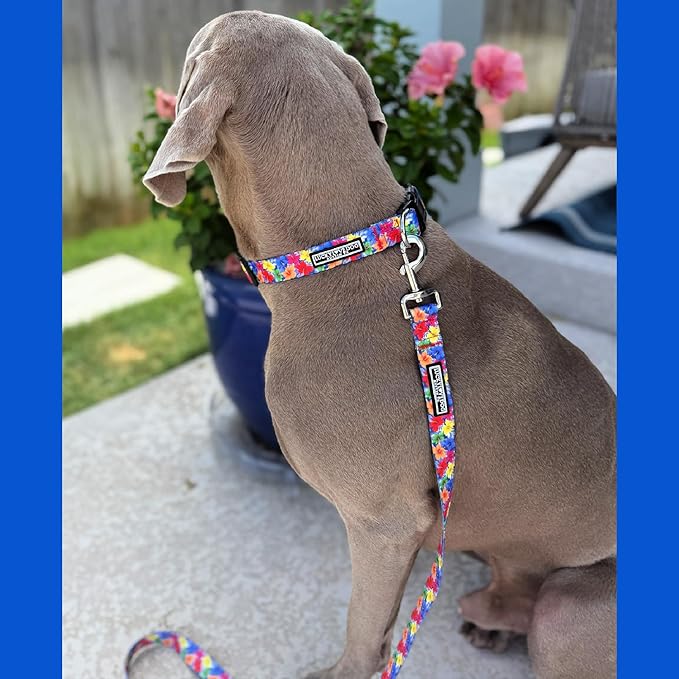 Lucky Love Dog - Adjustable Dog Collar with Easy Click Buckle for Small to Large Ones, Durable, & Comfortable for Male & Female Dogs, Pet Collar for Puppies & Adult Dogs - Hana, Medium