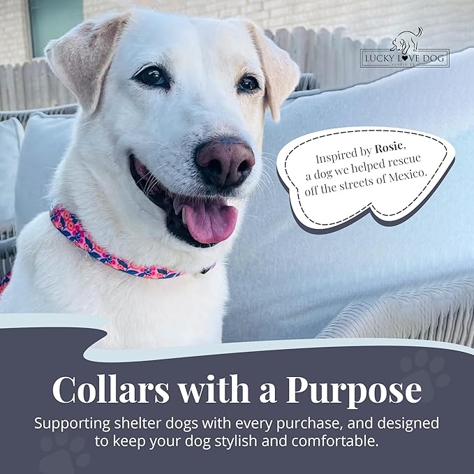 Lucky Love Dog - Adjustable Dog Collar with Easy Click Buckle for Small to Large Ones, Durable, & Comfortable for Male & Female Dogs, Pet Collar for Puppies & Adult Dogs - Rosie, Large