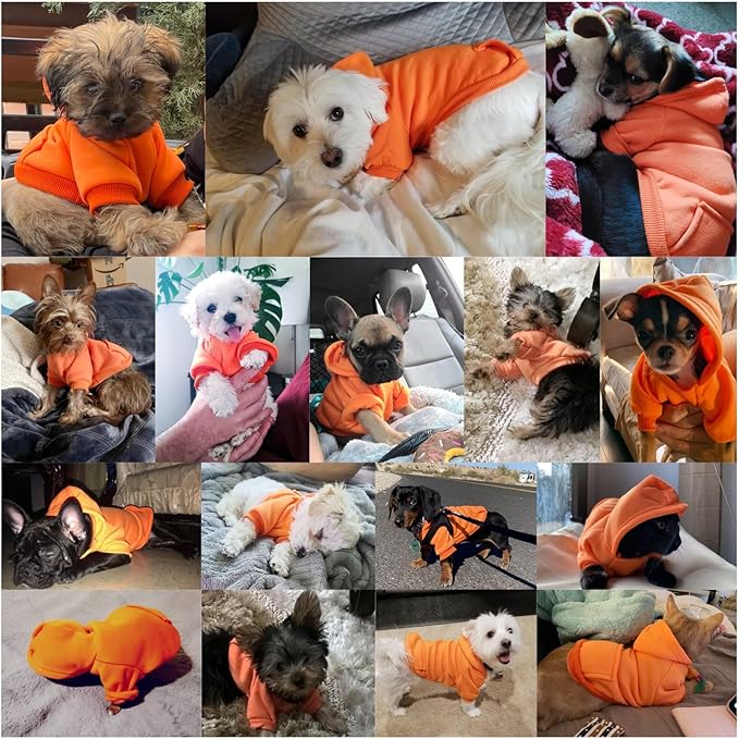 Jecikelon Winter Dog Hoodie Sweatshirts with Pockets Warm Dog Clothes for Small Dogs Chihuahua Coat Clothing Puppy Cat Custume (Orange, Large)