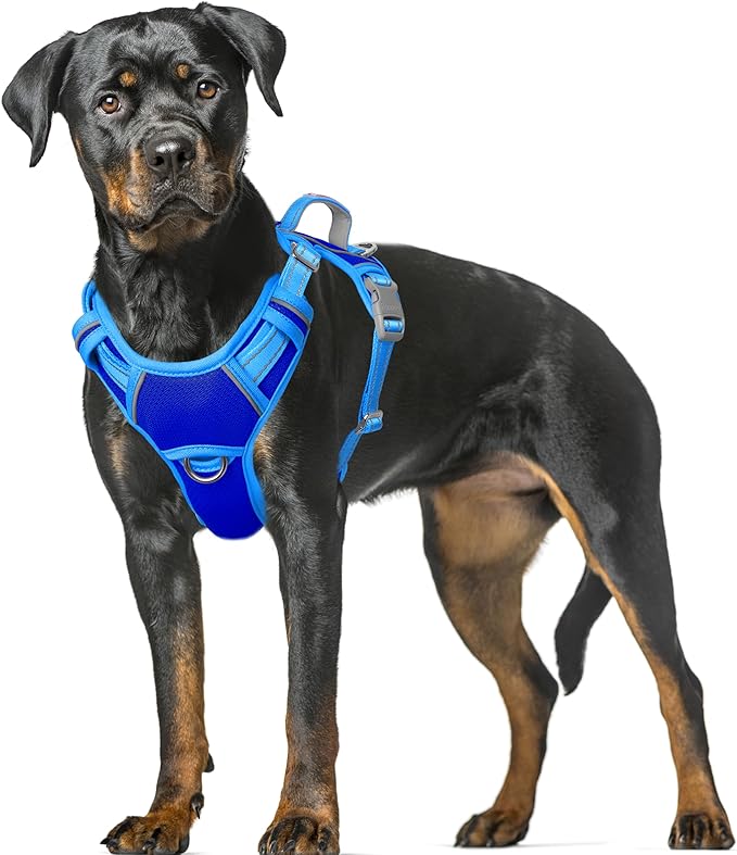 BARKBAY No Pull Dog Harness Large Reflective Dog Harness with Front Clip and Easy Control Handle for Walking Training Running with ID tag Pocket(Sapphire Blue & Blue,XL)