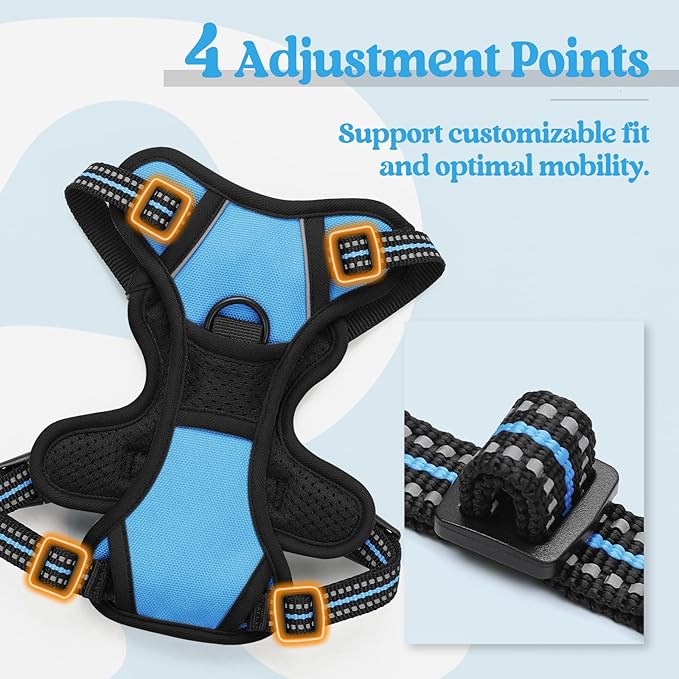 rabbitgoo Dog Harness No Pull with 2 Leash Clips, Adjustable Soft Padded, Reflective Oxford No Choke Pet Vest with Easy Control Handle for Puppy, Blue, XS