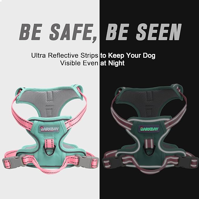 BARKBAY No Pull Dog Harness Front Clip Heavy Duty Reflective Easy Control Handle for Large Dog Walking(Cool Mint & Baby Pink,L)