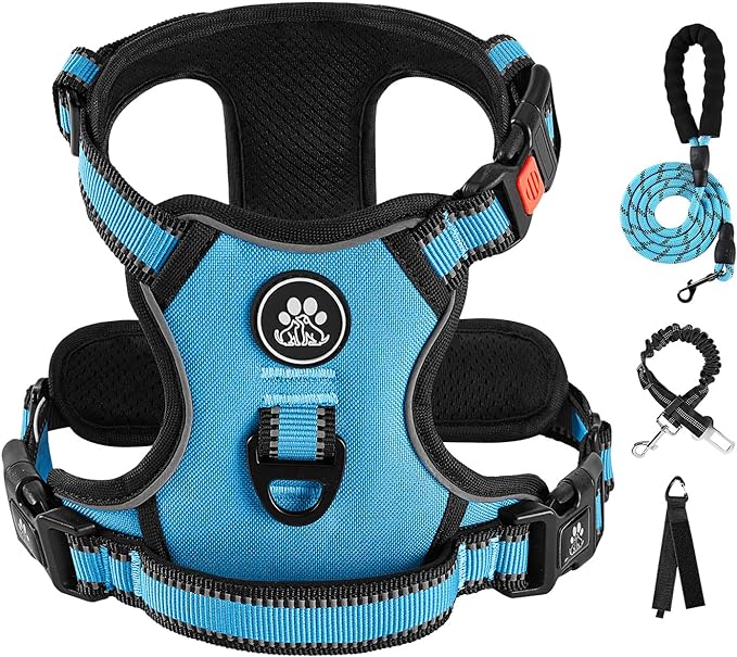 IVY&LANE No Pull Dog Harness for Large Dogs, Dog Vest Harness with Leash, Safety Belt and Storage Strap, Fully Adjustable Harness, 360° Reflective Strip, Soft Handle (Blue,XL)