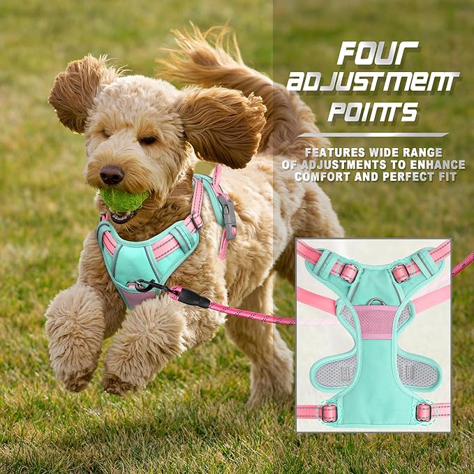 BARKBAY No Pull Dog Harness Front Clip Heavy Duty Reflective Easy Control Handle for Large Dog Walking(Cool Mint & Baby Pink,S)