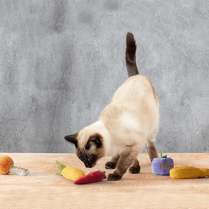 5 Pack Catnip Toys for Indoor Cats - 100% Organic Catnip Filled, No Cotton, Durable Teething Kicker Toys for Kittens, Food-Shaped Plush Chew Toys