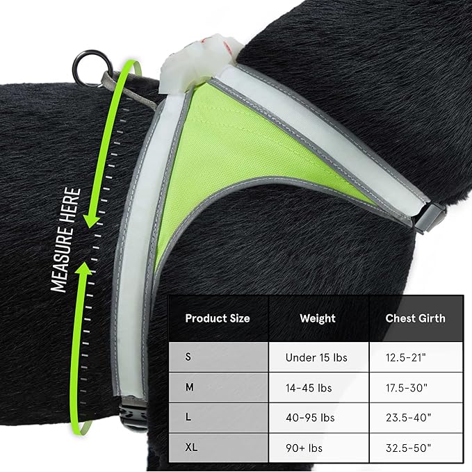 Noxgear LightHound (Large) + High-Visibility Dog Leash – Illuminated and Reflective Harness for Dogs Including Multicolored LED Fiber Optics (USB Rechargeable, Adjustable, Lightweight, Rainproof)