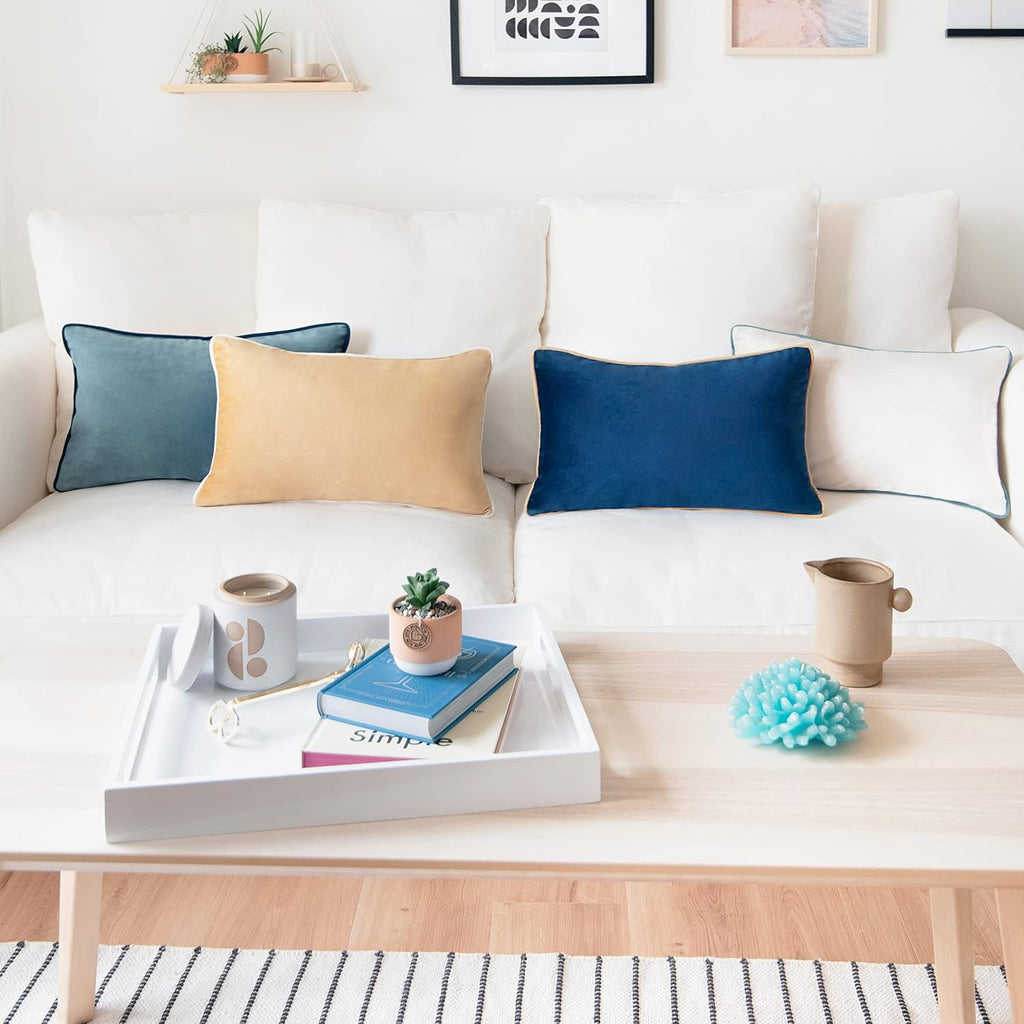 MONDAY MOOSE Decorative Throw Pillow Covers Cushion Cases, Set of 4 Soft Velvet Modern Double-Sided Designs, Mix and Match for Home Decor, Pillow Inserts Not Included (12x20 inch, Blue/Beige)