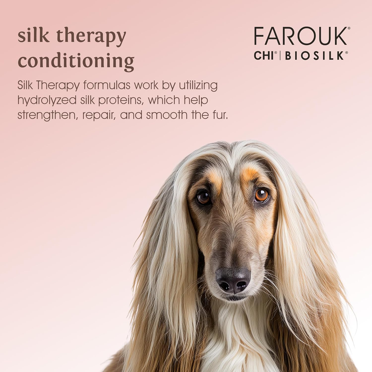 BioSilk for Dogs Silk Therapy Irresistible Deodorizing and Conditioning Spray, Scented, Jasmine and Honey Scent, Paraben Free, Made in The USA, 8 Fl Ounces
