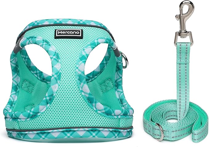 Mercano Soft Mesh Dog Harness and Leash Set, No-Chock Step-in Reflective Breathable Lightweight Easy Walk Vest Harnesses with Safety Buckle for Small Dogs, Cats (Light Green, L)