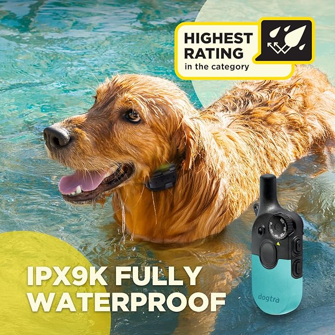 Dogtra 200iQ Remote Training E Collar – 100 Levels, Tone, Vibration, 1/2 Mile Range – Compact, Waterproof, One-Handed Control for Dogs 10 lbs+ – Lightweight Design for Daily Training – Teal