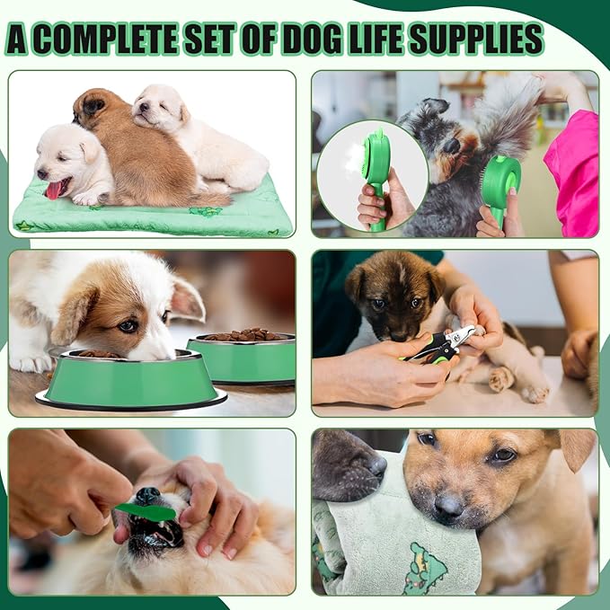 Abbylike 50 Pcs Puppy Supplies Starter Kit for Small Dogs Puppy Essentials Includes Leash, Bowls, Teeth Brushes, Water Bottle, and More Accessories for Dogs Christmas Welcome Gift(Green)