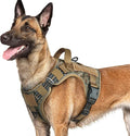 rabbitgoo Dog Harness for Large Dogs No Pull, Tactical Service Pet Vest with Molle and Control Handle, Adjustable and Reflective Military Harness for Easy Walking and Training, Desert camo, L