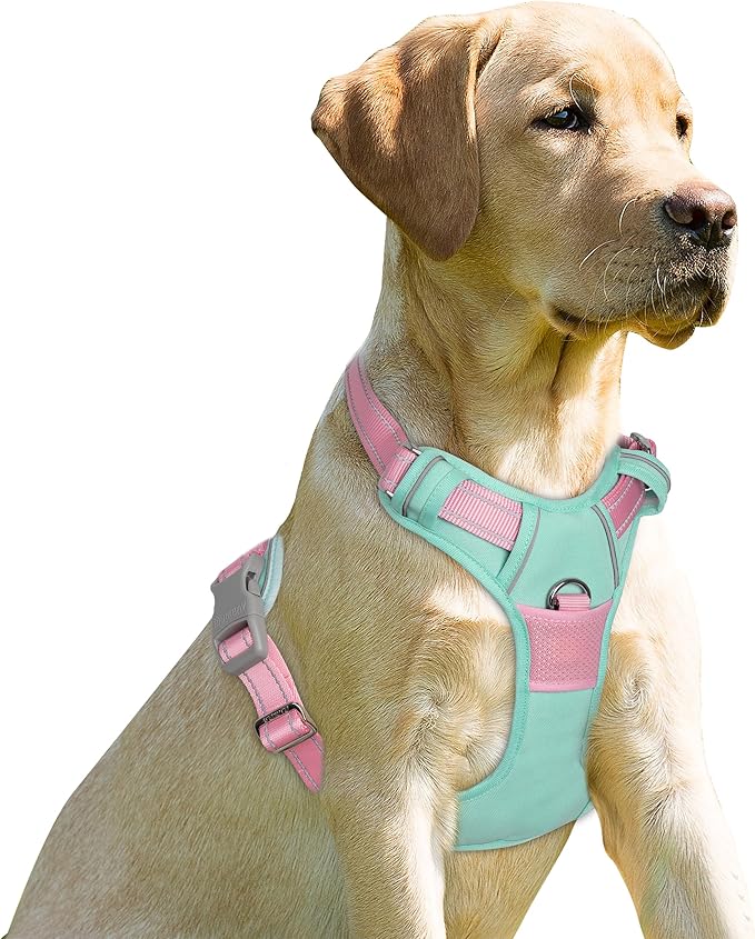 BARKBAY No Pull Dog Harness Front Clip Heavy Duty Reflective Easy Control Handle for Large Dog Walking(Cool Mint & Baby Pink,L)