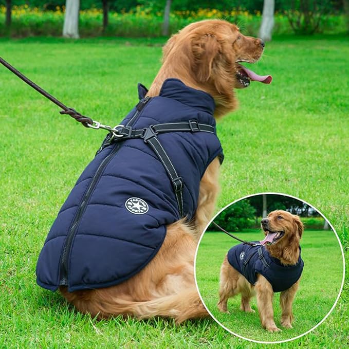 Aiboria Dog Jackets for Winter Windproof Waterproof 2 in 1 Outfit Cold Weather Coat Dog Vest Harness Puppy Winter Warm Jacket Small Blue M