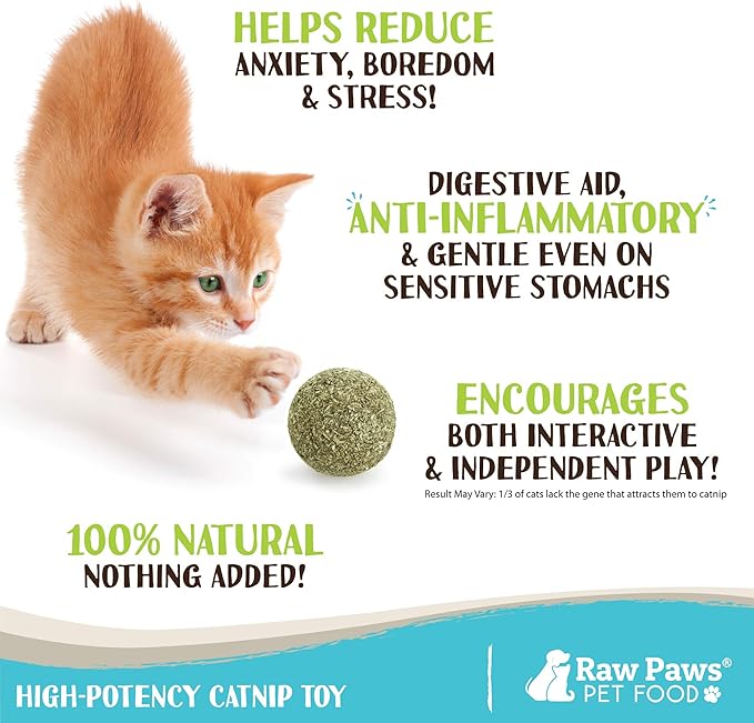 Raw Paws Catnip Balls for Cats, (6-Count) - Interactive Cat Toy for Indoor Cats - Cat Nip Licking Balls