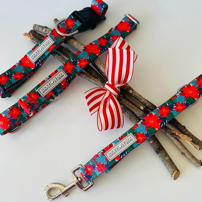 Lucky Love Dog - Easy Click Noel Dog Collar with Leash Set Combo, Durable & Comfortable for Male & Female Dogs, Pet Collar for Small to Large Dogs, Secure Fit - Noel Combo, Small