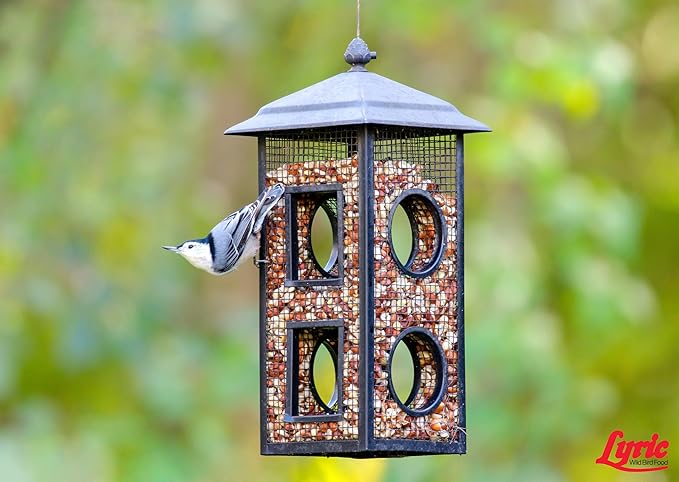 Lyric Delite Wild Bird Seed - No Waste Bird Food Mix with Shell-Free Nuts & Seeds - Attracts Buntings, Chickadees & Finches - 5 lb bag