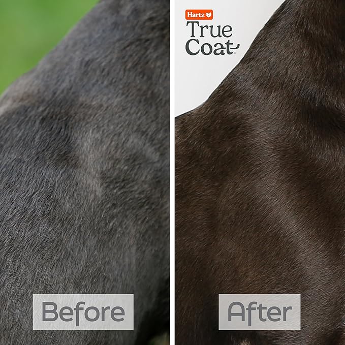 New! Hartz True Coat Short & Smooth Coat Specific Dog Shampoo, Soothes & Shines with Oat Milk, Coconut Oil & Vitamin E