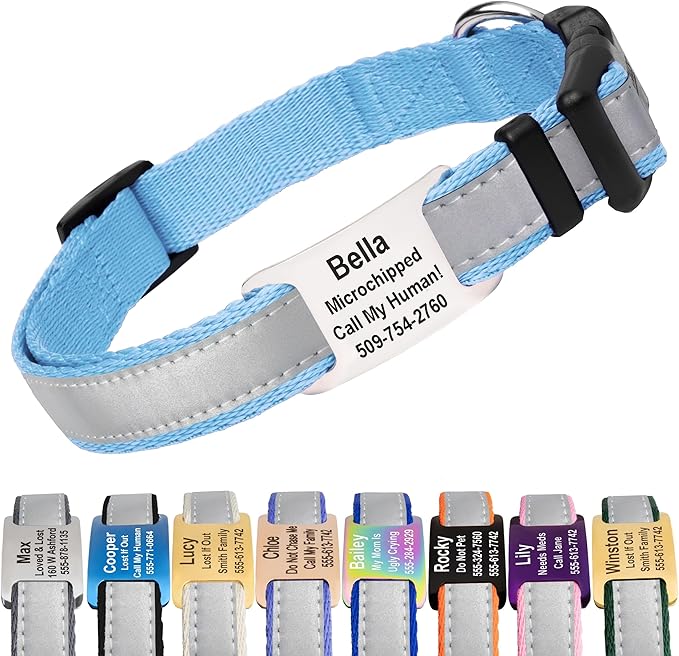 GoTags Reflective Personalized Dog Collar with Nameplate, Adjustable Dog Collar with Custom Engraved Steel Slide On Pet ID Tag, Silent, No Noise Dog Tag for Large Medium or Small (Light Blue, Medium)