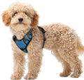 BARKBAY No Pull Dog Harness Large Reflective Dog Harness with Front Clip and Easy Control Handle for Walking Training Running with ID tag Pocket(Blue/Black,XS)