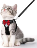 Cat Vest Harness and Leash Set for Walking Escape Proof, Adjustable Kitten Harness Breathable Mesh with Reflective Strips Harness for Kitty Puppy Bunny (Black,M)