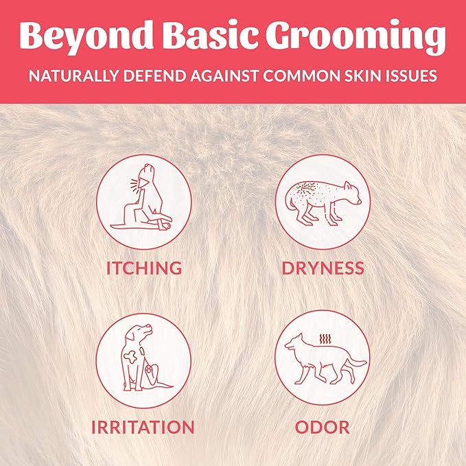 Skout's Honor Probiotic Dog Shampoo & Conditioner with Avocado Oil & Omega-3s, 97% Natural, Paraben & Sulfate-Free, Cruelty-Free, 16oz, Sunkissed Coconut