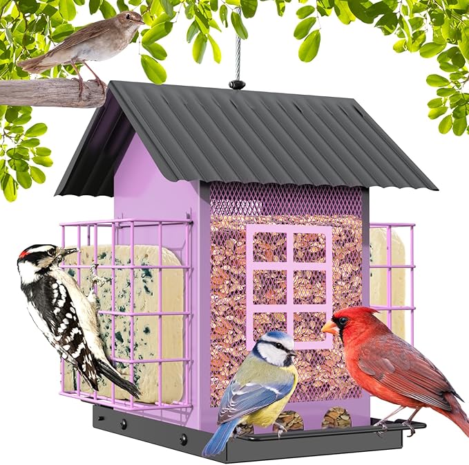 Bird Feeders for Outdoors Hanging, Metal Bird Feeder with Double Suet Cage Cake, Large Capacity, Birdfeeders Sturdy & Weatherproof, Easy to Clean & Refill, Great for Attracting Wild Birds