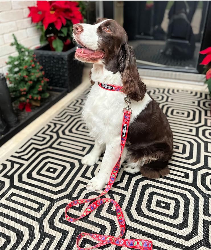 Lucky Love Dog - Adjustable Dog Collar with Easy Click Buckle for Small to Large Ones, Durable, & Comfortable for Male & Female Dogs, Pet Collar for Puppies & Adult Dogs - Chilly, Small