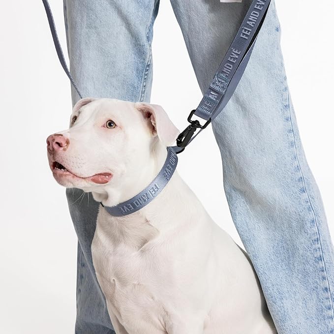 2025 New Edition, Fei & Eve MagEase Dog Collar - Patented Magnetic Buckles | Fur-Safe | Premium 210D Nylon | 450LB Escape-Proof | Adjustable Fit | Large (Dusk Blue)