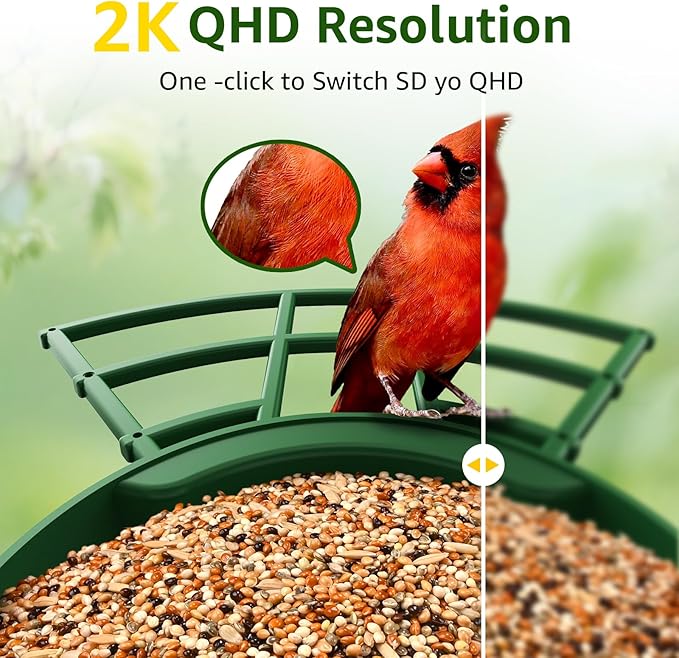 PeckCam® Smart Bird Feeder with Camera 2K HD Auto Detect & Notify, AI Identify 10000+ Birds Camera with Solar Panel 5 Perch Attachments Wireless Outdoor Birdwatching Gift for Birds Lover, Green